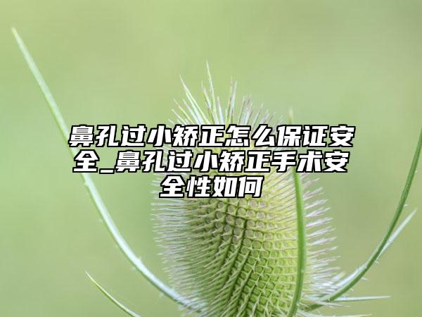 鼻孔过小矫正怎么保证安全_鼻孔过小矫正手术安全性如何