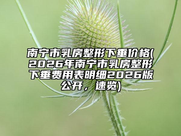 南宁市乳房整形下垂价格(2026年南宁市乳房整形下垂费用表明细2026版公开，速览)