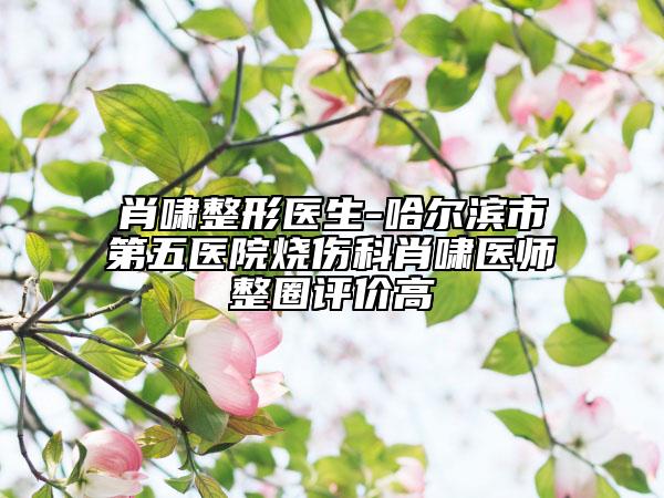 肖啸整形医生-哈尔滨市第五医院烧伤科肖啸医师整圈评价高