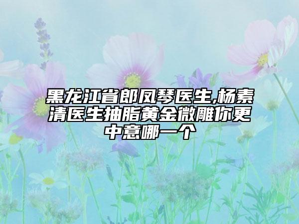 黑龙江省郎凤琴医生,杨素清医生抽脂黄金微雕你更中意哪一个