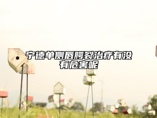 宁德单侧唇腭裂治疗有没有危害呢