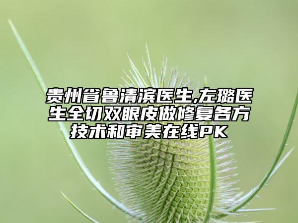 贵州省鲁清滨医生,左璐医生全切双眼皮做修复各方技术和审美在线PK