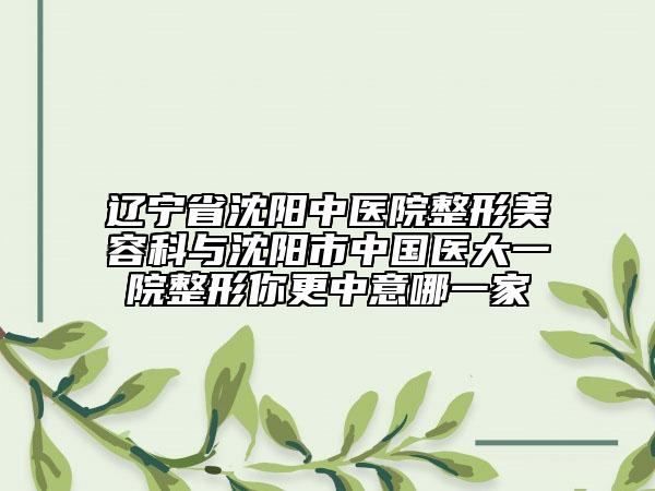 辽宁省沈阳中医院整形美容科与沈阳市中国医大一院整形你更中意哪一家