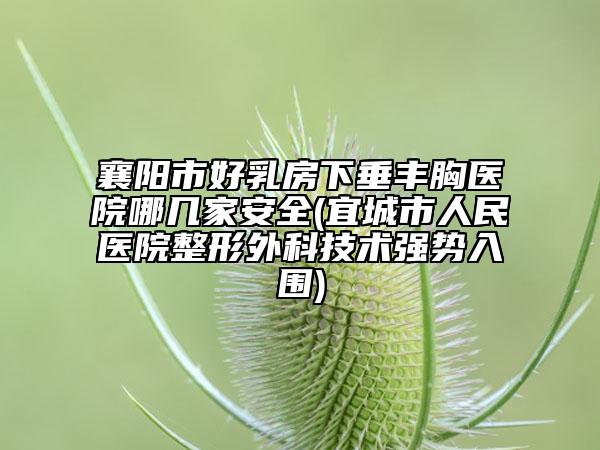 襄阳市好乳房下垂丰胸医院哪几家安全(宜城市人民医院整形外科技术强势入围)