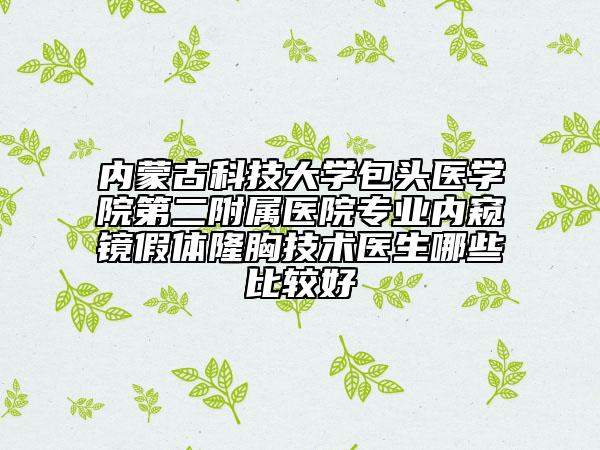 内蒙古科技大学包头医学院第二附属医院专业内窥镜假体隆胸技术医生哪些比较好