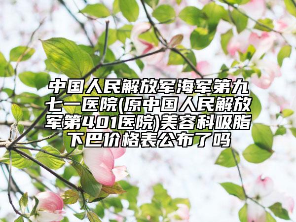 中国人民解放军海军第九七一医院(原中国人民解放军第401医院)美容科吸脂痩下巴价格表公布了吗