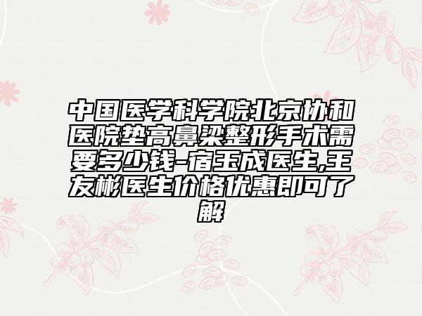 中国医学科学院北京协和医院垫高鼻梁整形手术需要多少钱-宿玉成医生,王友彬医生价格优惠即可了解