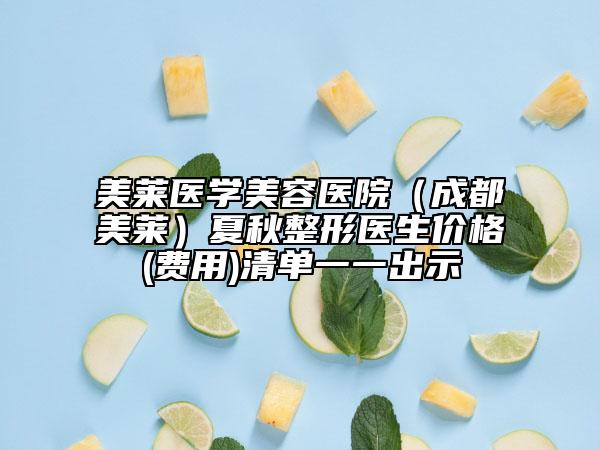 美莱医学美容医院（成都美莱）夏秋整形医生价格(费用)清单一一出示