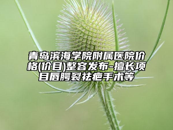 青岛滨海学院附属医院价格(价目)整容发布-擅长项目唇腭裂祛疤手术等