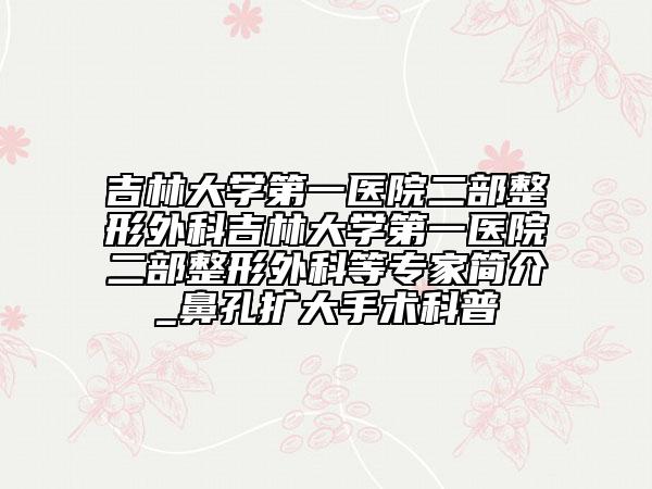 吉林大学第一医院二部整形外科吉林大学第一医院二部整形外科等专家简介_鼻孔扩大手术科普
