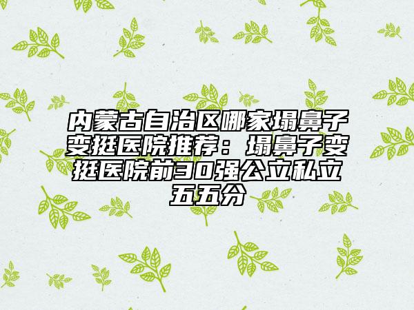 内蒙古自治区哪家塌鼻子变挺医院推荐：塌鼻子变挺医院前30强公立私立五五分