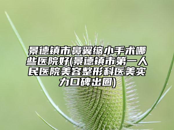 景德镇市鼻翼缩小手术哪些医院好(景德镇市第一人民医院美容整形科医美实力口碑出圈)