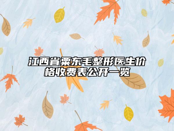江西省粟东毛整形医生价格收费表公开一览