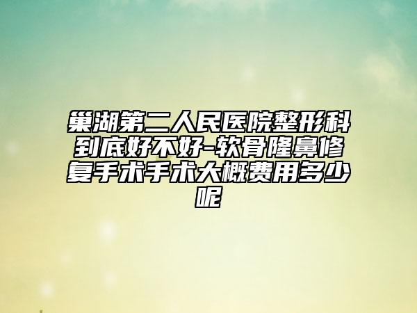 巢湖第二人民医院整形科到底好不好-软骨隆鼻修复手术手术大概费用多少呢