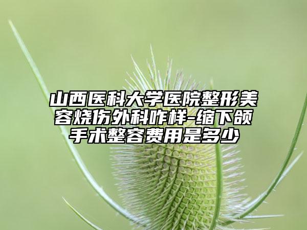 山西医科大学医院整形美容烧伤外科咋样-缩下颌手术整容费用是多少