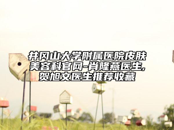 井冈山大学附属医院皮肤美容科官网-肖隆燕医生,贺旭文医生推荐收藏