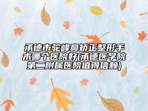 承德市驼峰鼻矫正整形手术哪个医院好(承德医学院第二附属医院值得信赖)
