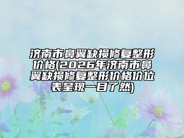 济南市鼻翼缺损修复整形价格(2026年济南市鼻翼缺损修复整形价格价位表呈现一目了然)