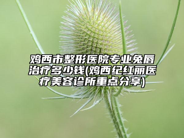 鸡西市整形医院专业兔唇治疗多少钱(鸡西纪红丽医疗美容诊所重点分享)