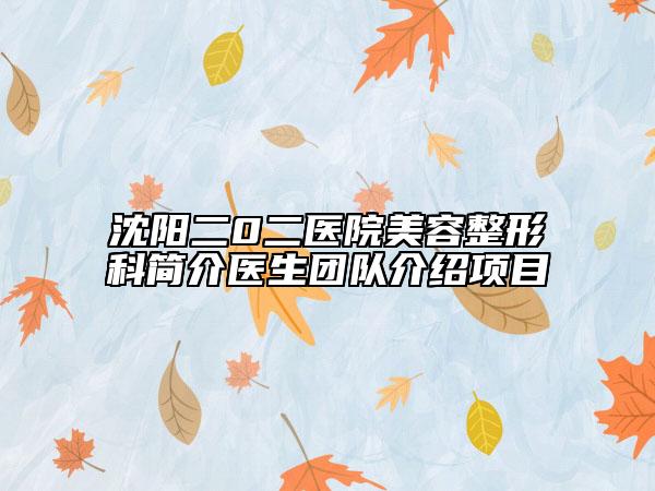 沈阳二0二医院美容整形科简介医生团队介绍项目