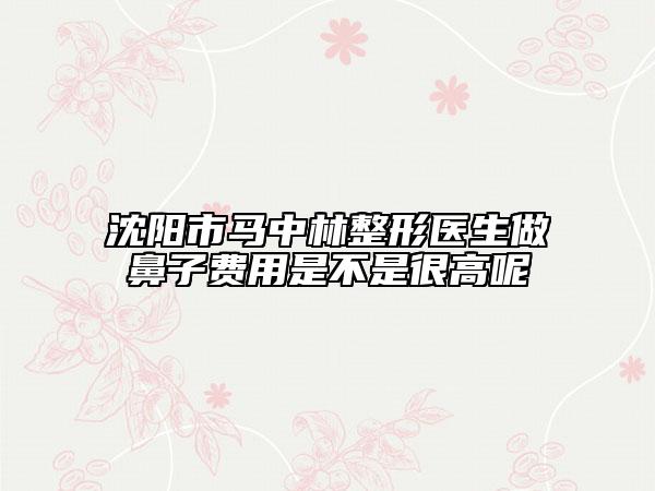 沈阳市马中林整形医生做鼻子费用是不是很高呢