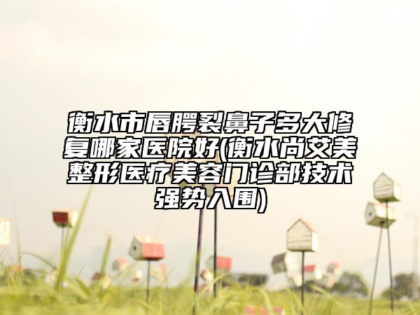 衡水市唇腭裂鼻子多大修复哪家医院好(衡水尚艾美整形医疗美容门诊部技术强势入围)