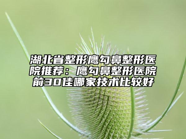 湖北省整形鹰勾鼻整形医院推荐：鹰勾鼻整形医院前30佳哪家技术比较好