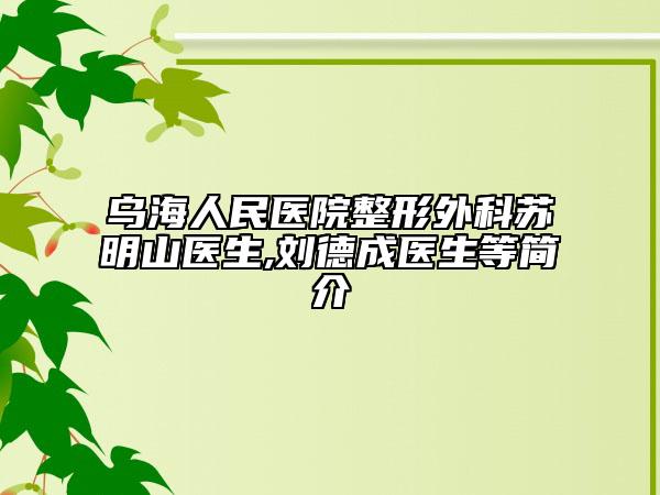 乌海人民医院整形外科苏明山医生,刘德成医生等简介