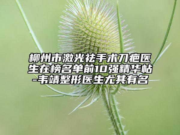 柳州市激光祛手术刀疤医生在榜名单前10强精华帖-韦靖整形医生尤其有名