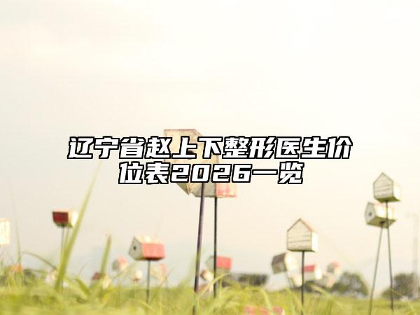 辽宁省赵上下整形医生价位表2026一览