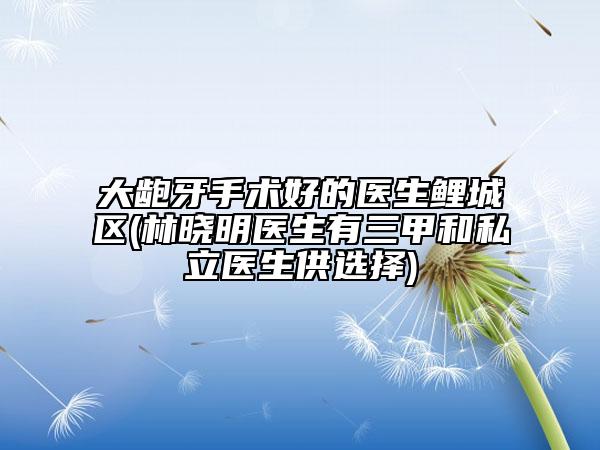 大龅牙手术好的医生鲤城区(林晓明医生有三甲和私立医生供选择)