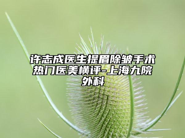 许志成医生提眉除皱手术热门医美横评-上海九院外科
