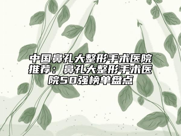中国鼻孔大整形手术医院推荐：鼻孔大整形手术医院50强榜单盘点