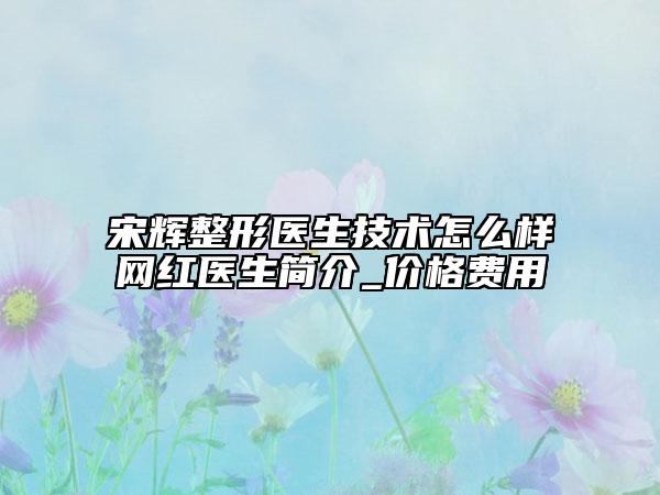 宋辉整形医生技术怎么样网红医生简介_价格费用