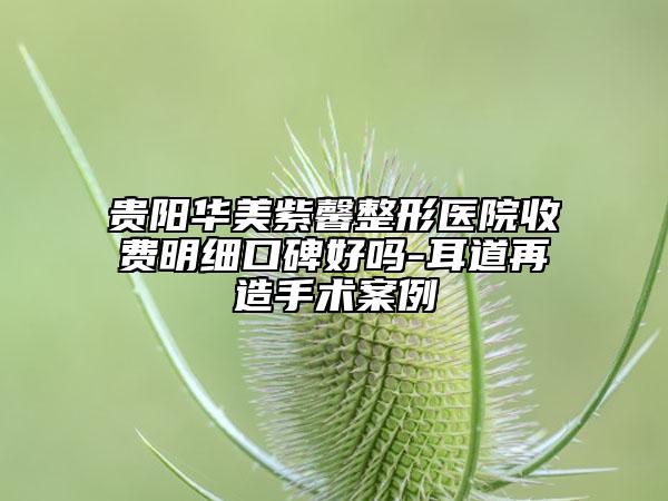 贵阳华美紫馨整形医院收费明细口碑好吗-耳道再造手术案例