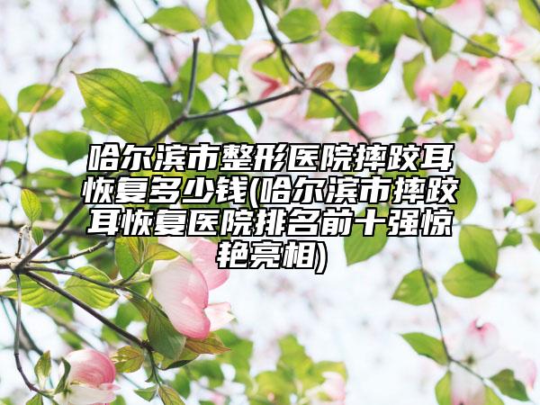 哈尔滨市整形医院摔跤耳恢复多少钱(哈尔滨市摔跤耳恢复医院排名前十强惊艳亮相)
