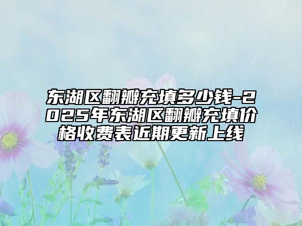 东湖区翻瓣充填多少钱-2025年东湖区翻瓣充填价格收费表近期更新上线