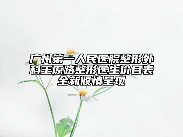 广州第一人民医院整形外科王原路整形医生价目表全新倾情呈现