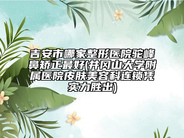 吉安市哪家整形医院驼峰鼻矫正最好(井冈山大学附属医院皮肤美容科连锁凭实力胜出)