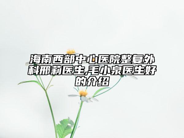 海南西部中心医院整复外科邢莉医生,毛小泉医生好的介绍