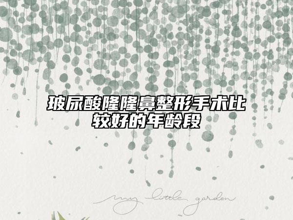 玻尿酸隆隆鼻整形手术比较好的年龄段
