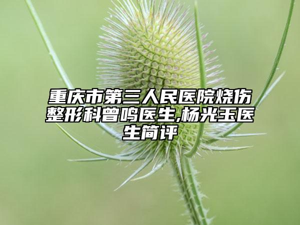 重庆市第三人民医院烧伤整形科曾鸣医生,杨光玉医生简评