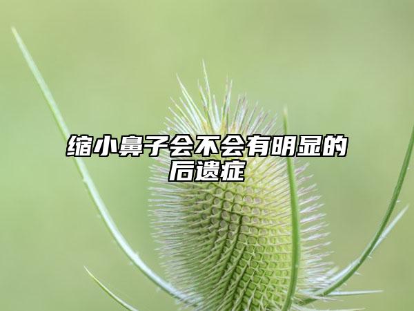 缩小鼻子会不会有明显的后遗症