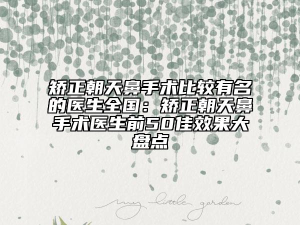 矫正朝天鼻手术比较有名的医生全国：矫正朝天鼻手术医生前50佳效果大盘点