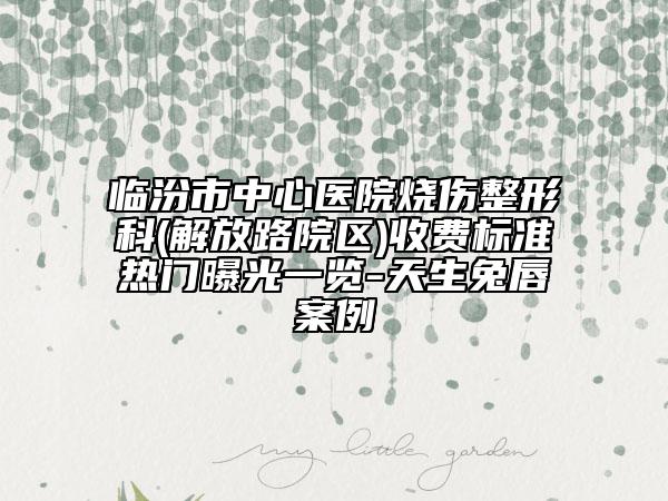 临汾市中心医院烧伤整形科(解放路院区)收费标准热门曝光一览-天生兔唇案例