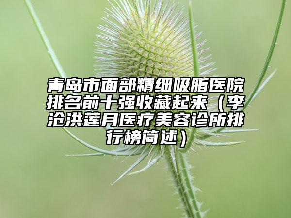 青岛市面部精细吸脂医院排名前十强收藏起来（李沧洪莲月医疗美容诊所排行榜简述）