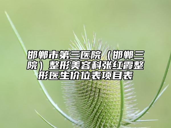 邯郸市第三医院（邯郸三院）整形美容科张红霞整形医生价位表项目表