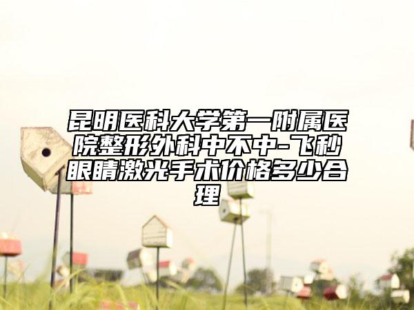 昆明医科大学第一附属医院整形外科中不中-飞秒眼睛激光手术价格多少合理