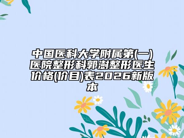 中国医科大学附属第(一)医院整形科郭澍整形医生价格(价目)表2026新版本