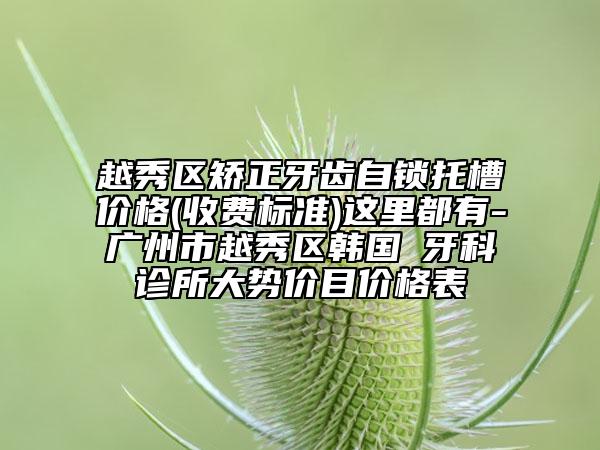 越秀区矫正牙齿自锁托槽价格(收费标准)这里都有-广州市越秀区韩国燊牙科诊所大势价目价格表